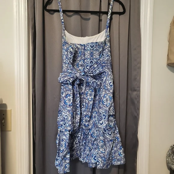Paisley Blue & White Dress - Picture 4 of 6